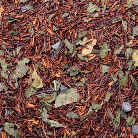 Rooibos Choco - Menta