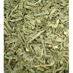 Té Sencha Desteinado Tuareg Moruno