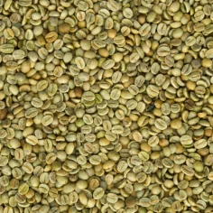 CAFÉ VERDE 1 kg