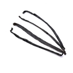 Comprar Tubo con Vainilla en Rama - Sabor a Té ®