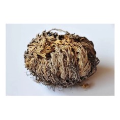 Comprar Rosa de Jericó - Sabor a Té ®