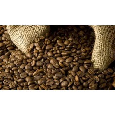 Café Nicaragua, El Diablo-Datanlí