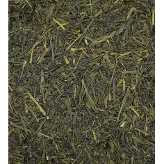 Comprar Té Sencha Gyokuro Asahi Premium Biológico. - Exclusivo - Sabor a Té ®