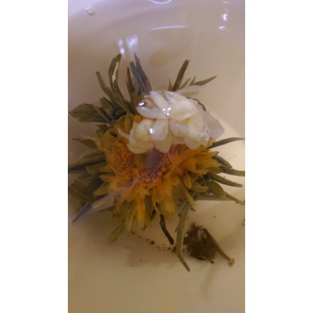Bloomings. Flor de Té de jazmín y Caléndula-