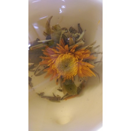 Bloomings Flor de té Caléndula Melocotón