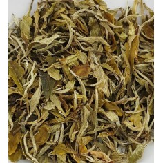 Té China Orchid Snow Buds BIO 100 gr.