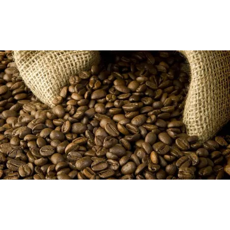 Café Nicaragua, El Diablo-Datanlí