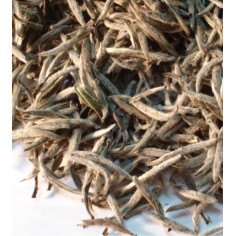 te blanco silver needle 2