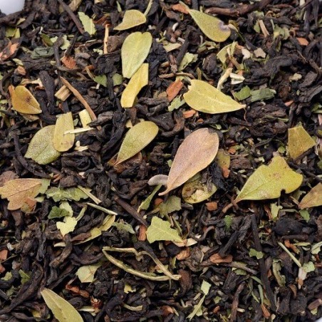 Té rojo Modelate (Quemagrasas)