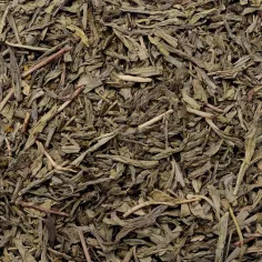 Té verde Sencha Desteinado